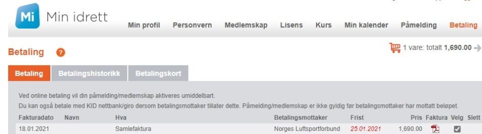 Fagsjefens Spalte