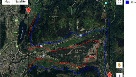 Hoppfeltet på Voss. Hoppfeltet på Voss.
