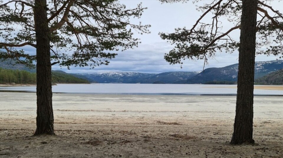 Fyresdal Feelgood is back!